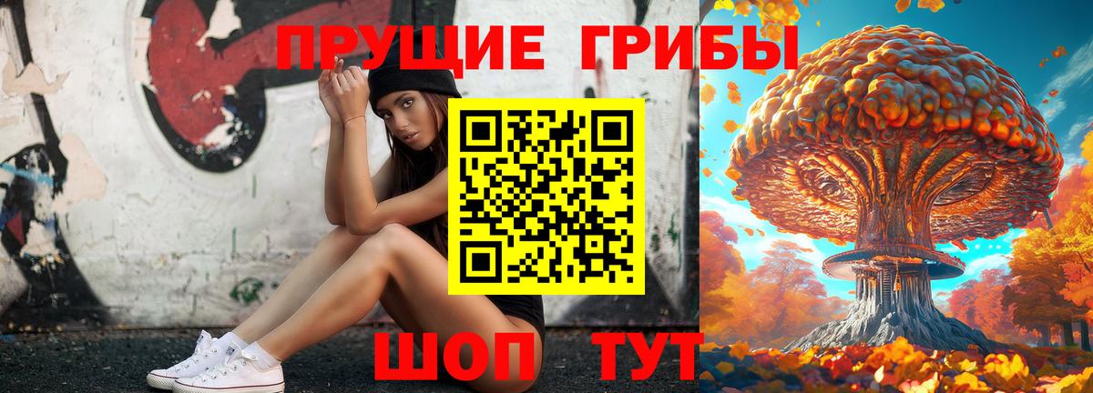 Котельники  Псилоцибиновые грибы ЛСД  Вход с VPN  Галлюциногенные грибы ЛСД 