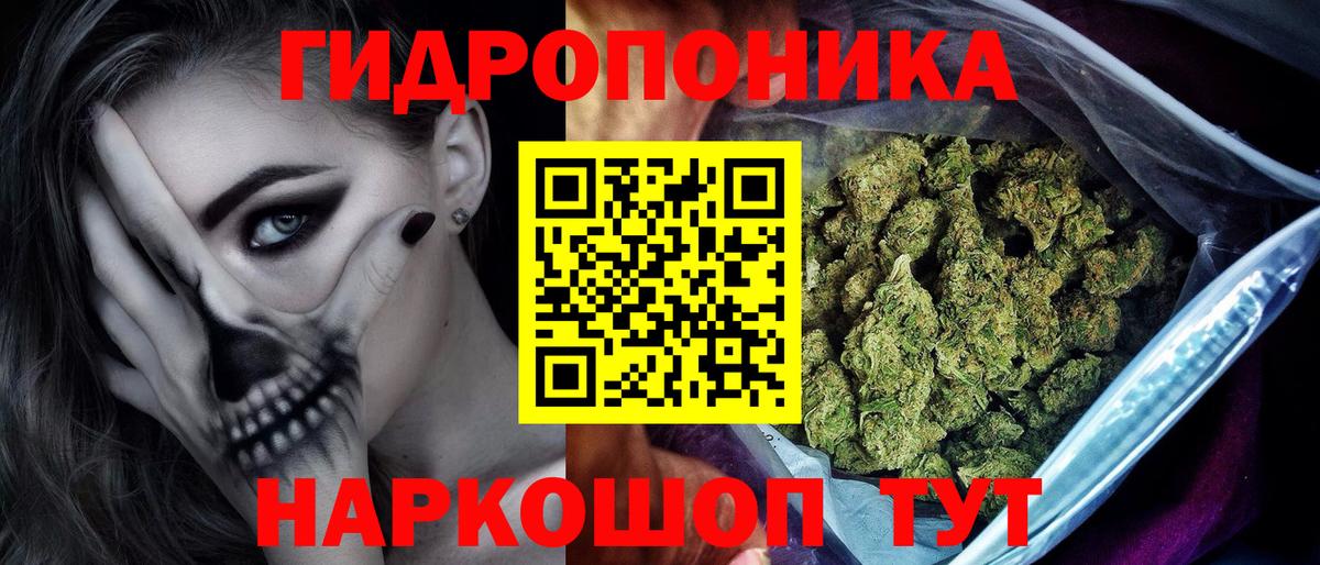 Конопля семена  Вход с VPN  Марихуана Amnesia  Котельники 